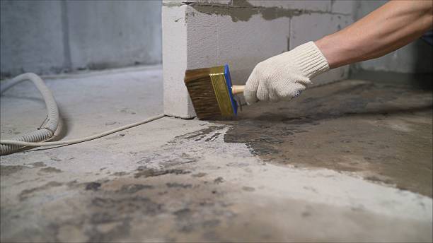 SJ Waterproofing Pros Waterproofing coverage map for Chapel Hill, TN and surrounding area